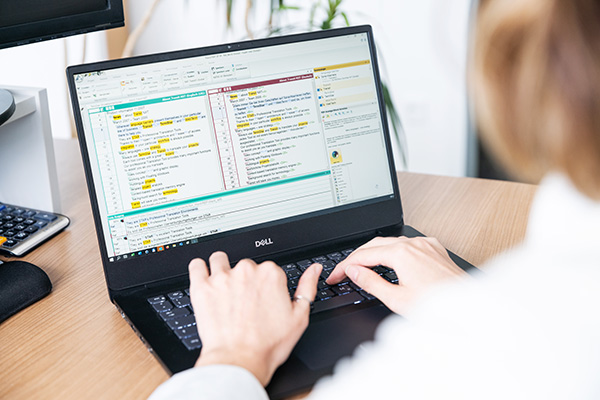 Transit Software Bedienoberfläche