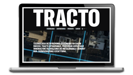 Darstellung einer übersetzten polnischen Website